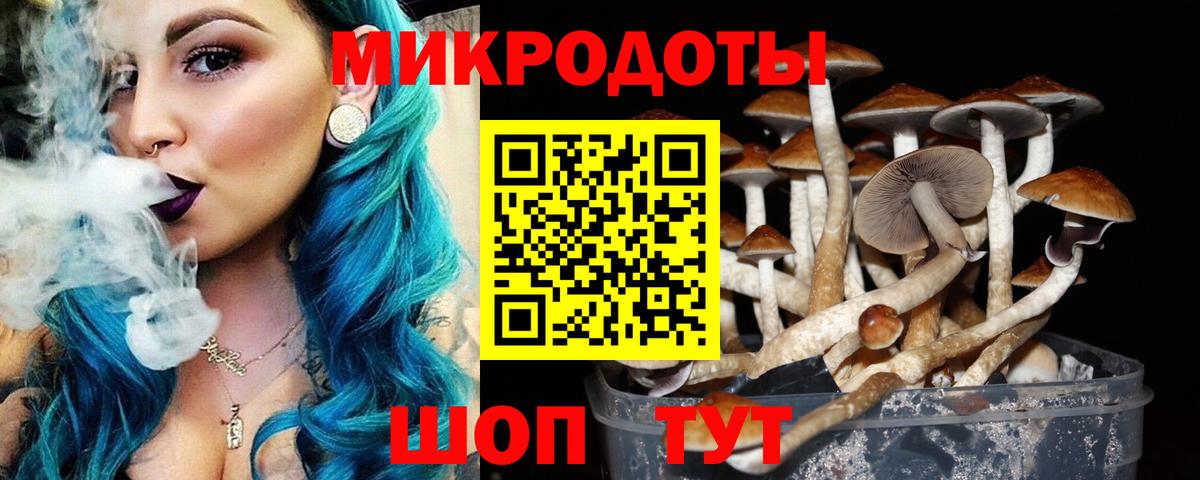 Псилоцибиновые грибы ЛСД  Вход с VPN  Среднеуральск 